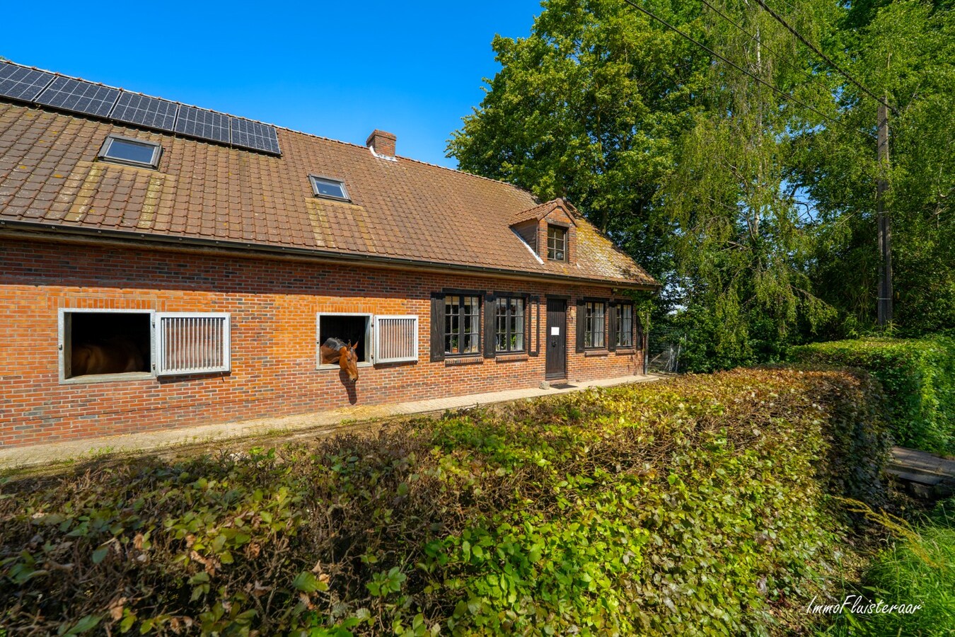 Goed gelegen langgevelhoeve met paardenstallen op ca. 3,5 ha. 