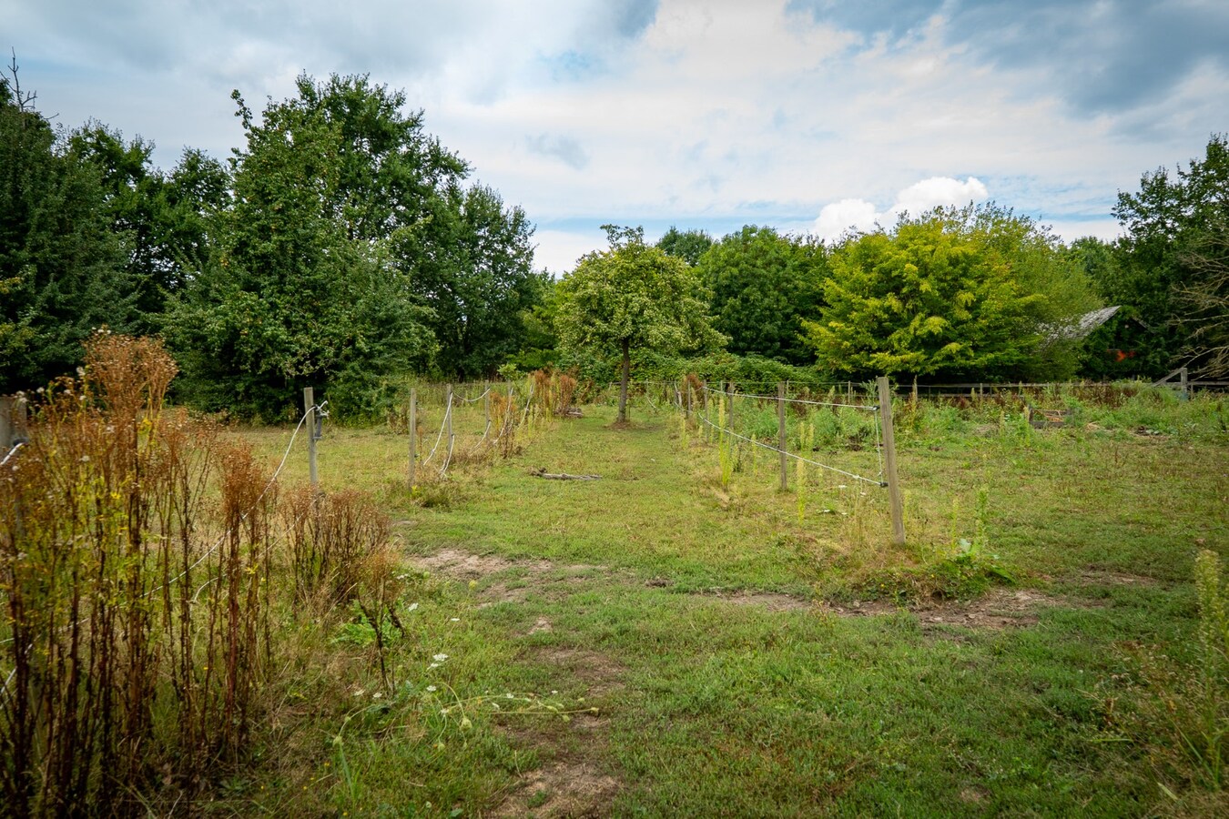 Karaktervolle hoeve met weides op ca. 2ha te Herk-de-Stad 
