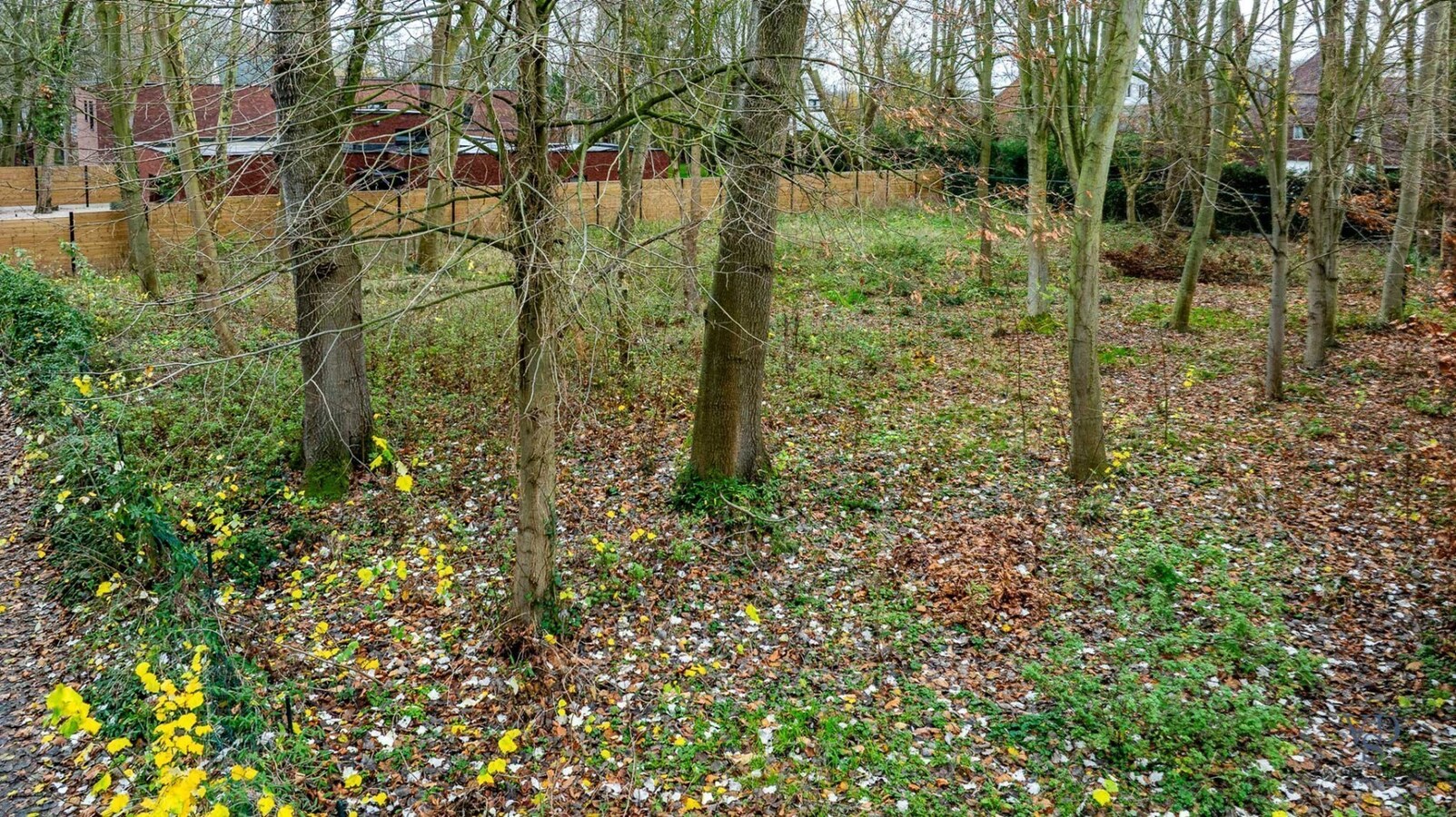 Moderne nieuwbouwwoning in 't groen. 