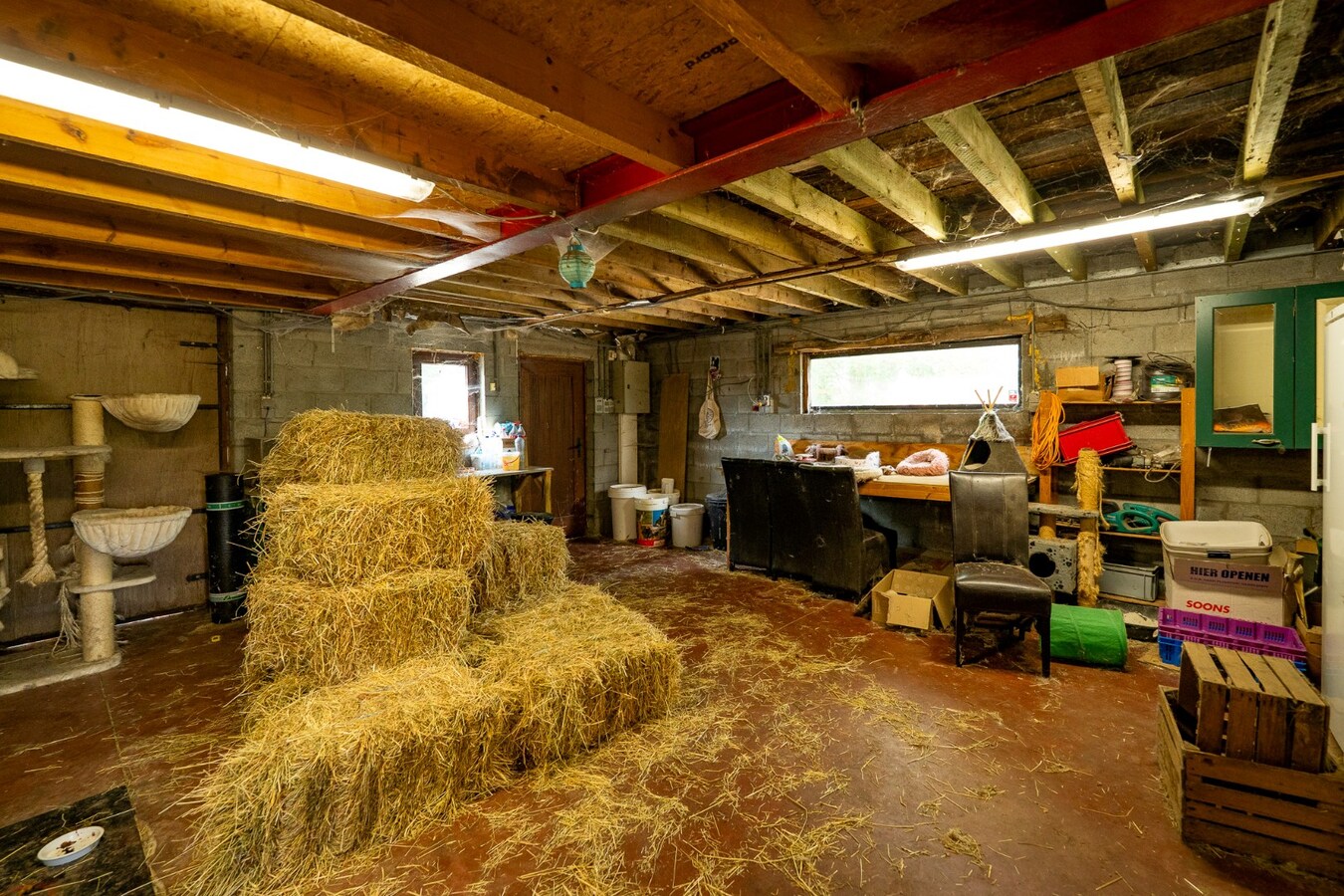 Quietly located house with a meadow of approximately 55 acres in Herk-de-Stad 