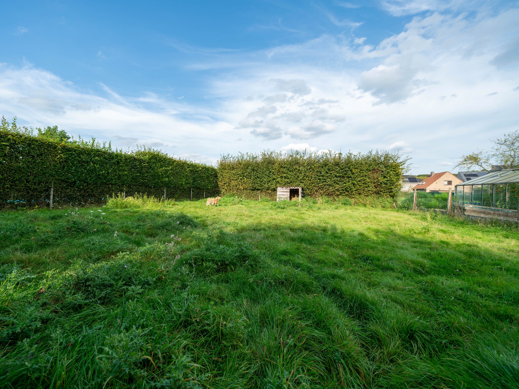 Prachtige 4-gevel met grote tuin in Itterbeek 