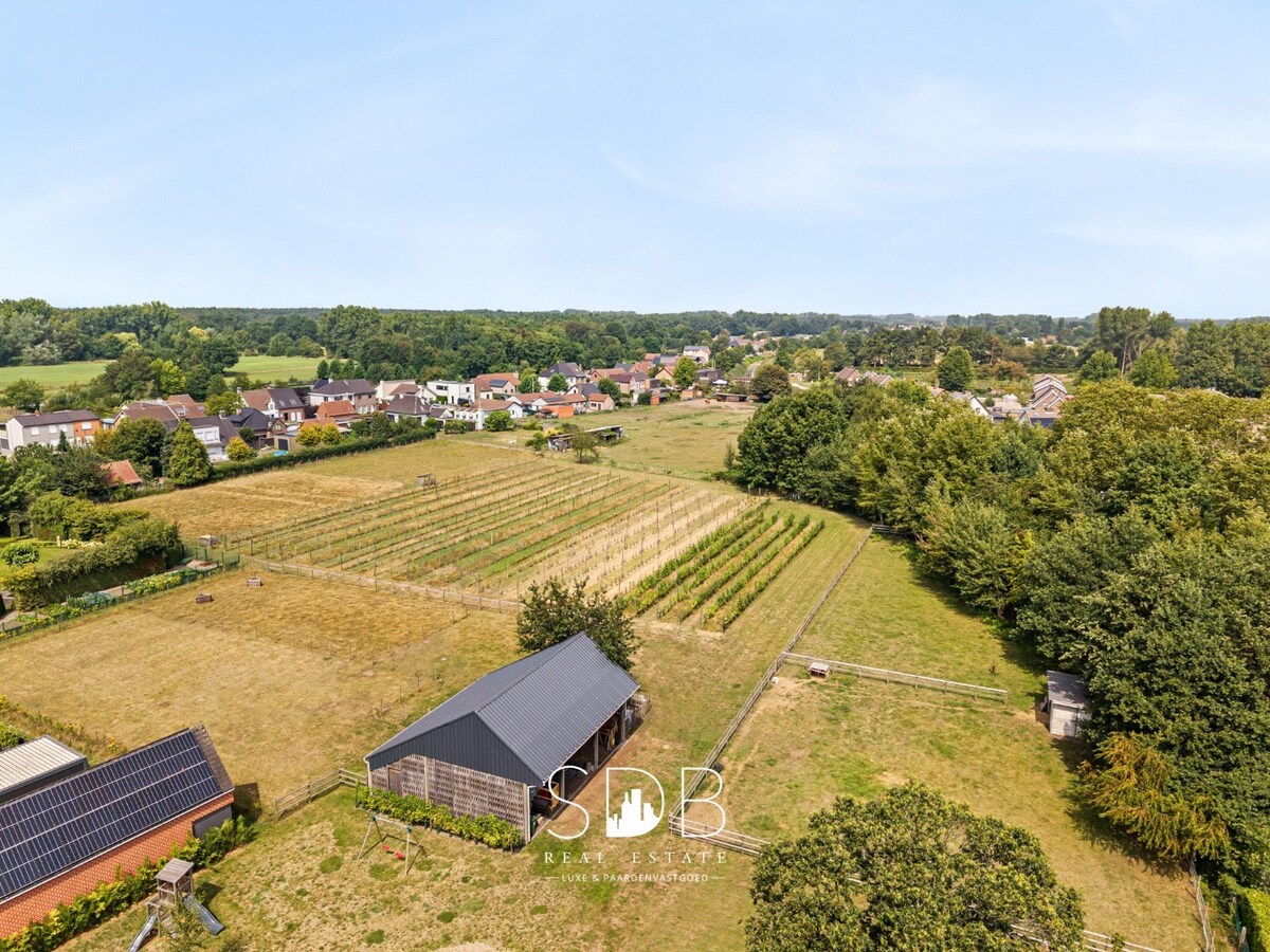 Charmante woning met aparte kantoorruimte op 14.569 m² 