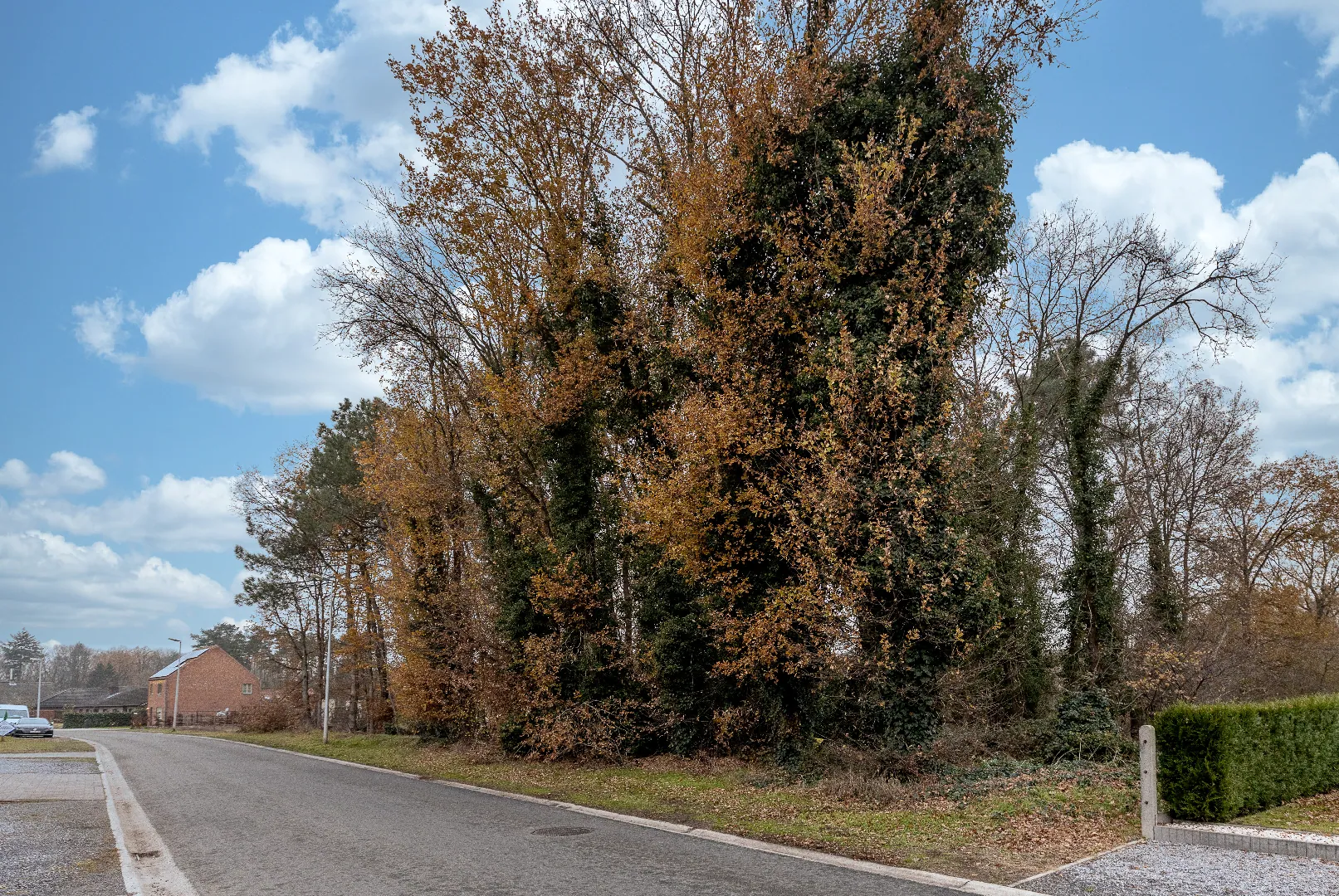 Verkocht grond - Houthalen-Helchteren