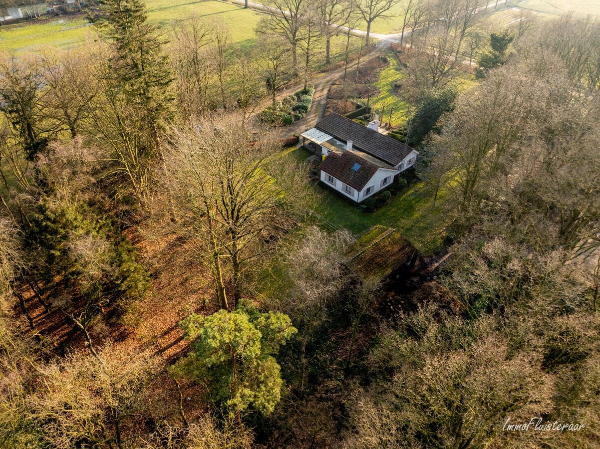 Idyllische woning midden in het groen op 7.085 m2 te Turnhout 