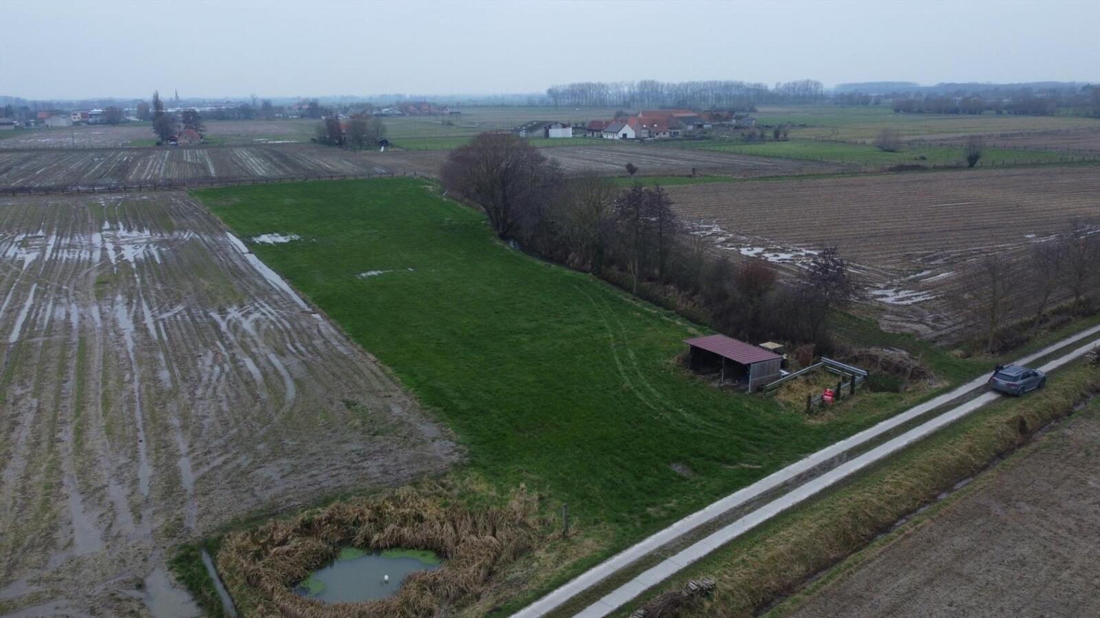 Perceel weiland, ideaal voor dierenliefhebbers 