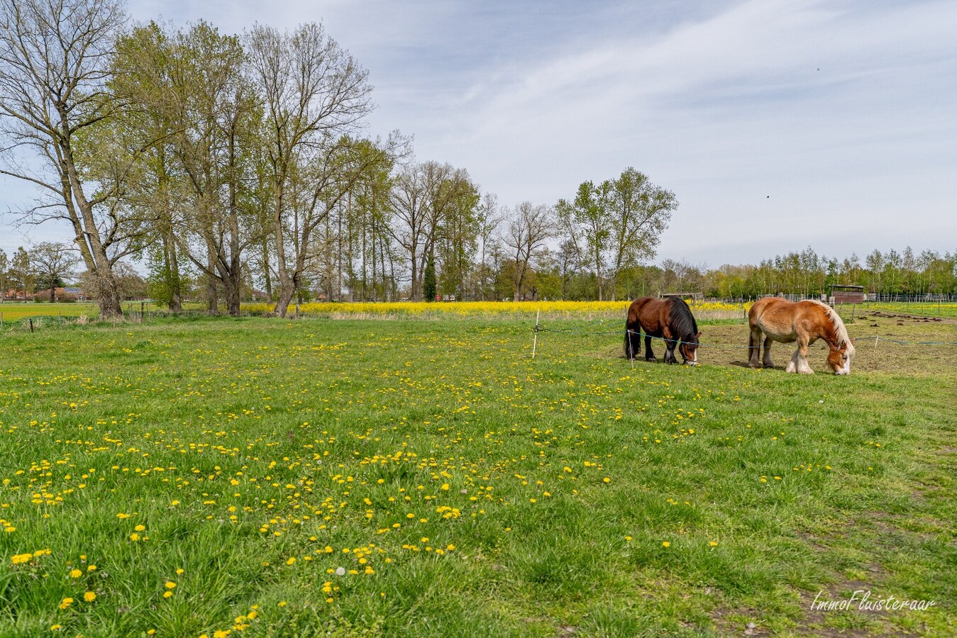 Woning met stalgebouwen en buitenpiste op ca. 6ha te Bocholt 