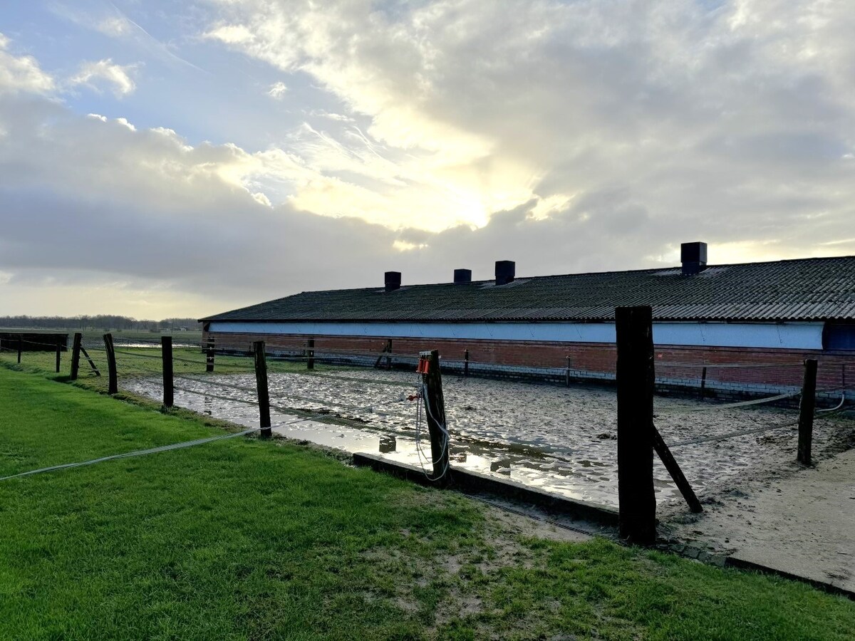 Woning verhuurd in Merksplas