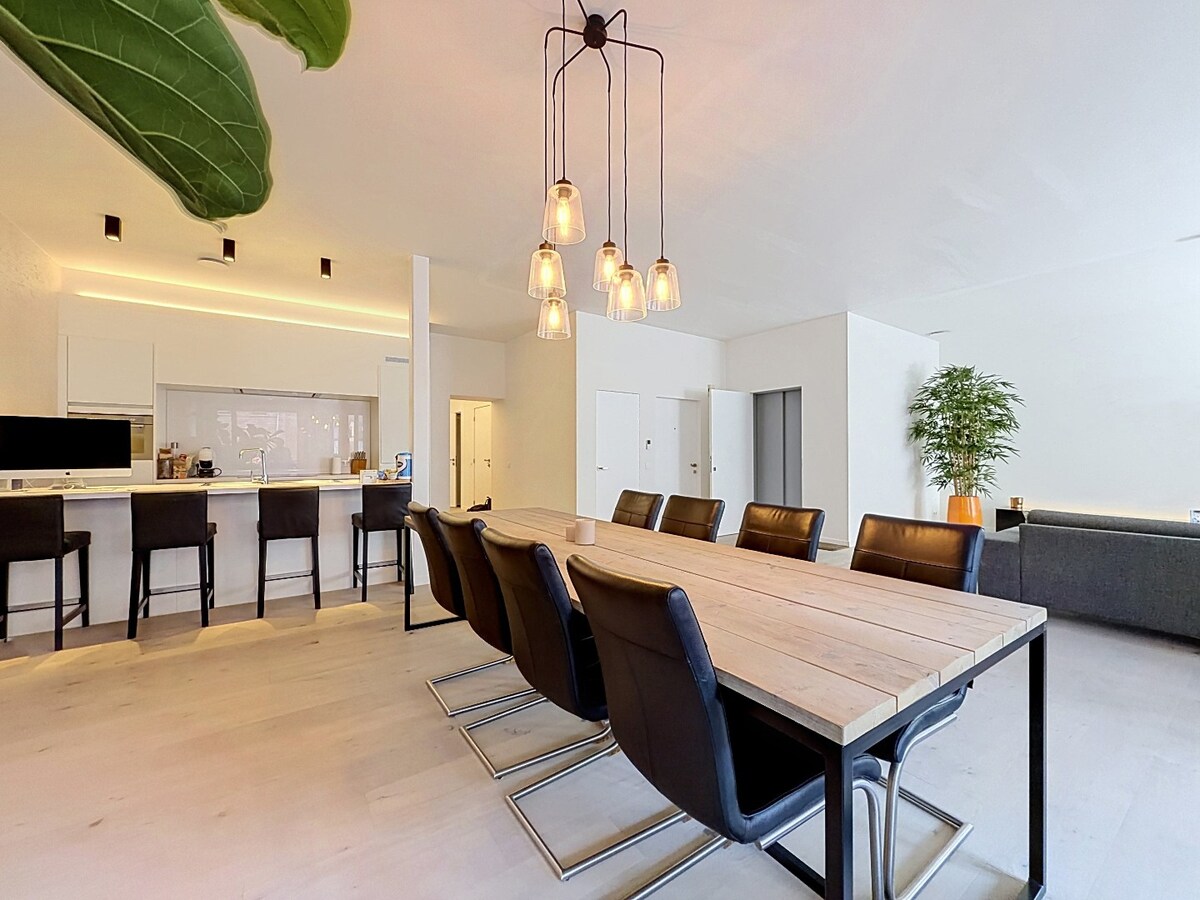 Luxueuze loft met ZW-terras en garage te centrum Aalst 