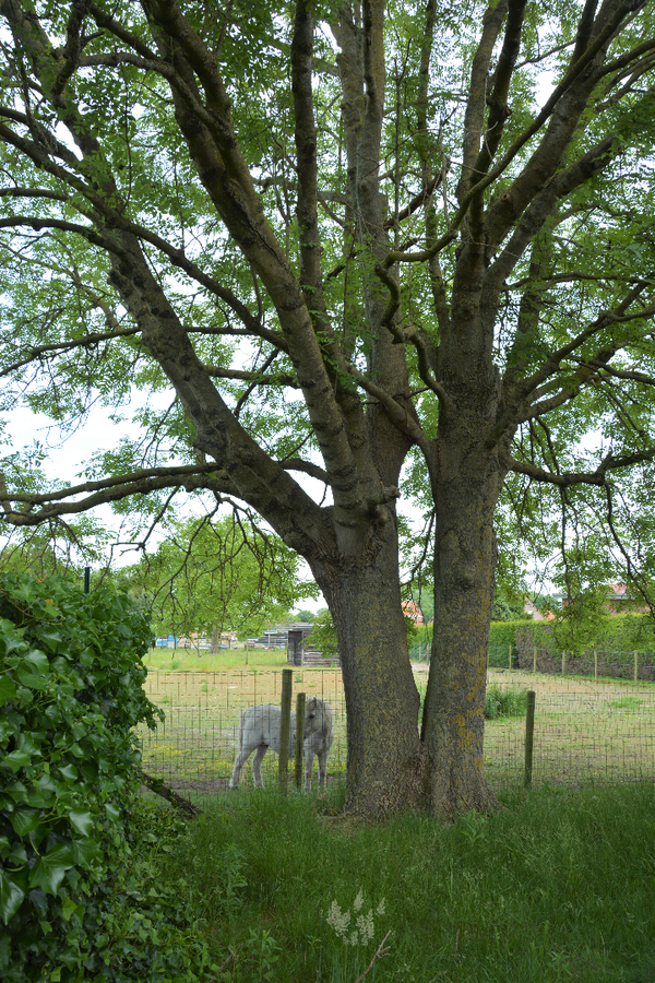Instapklare bungalow in leuke omgeving 
