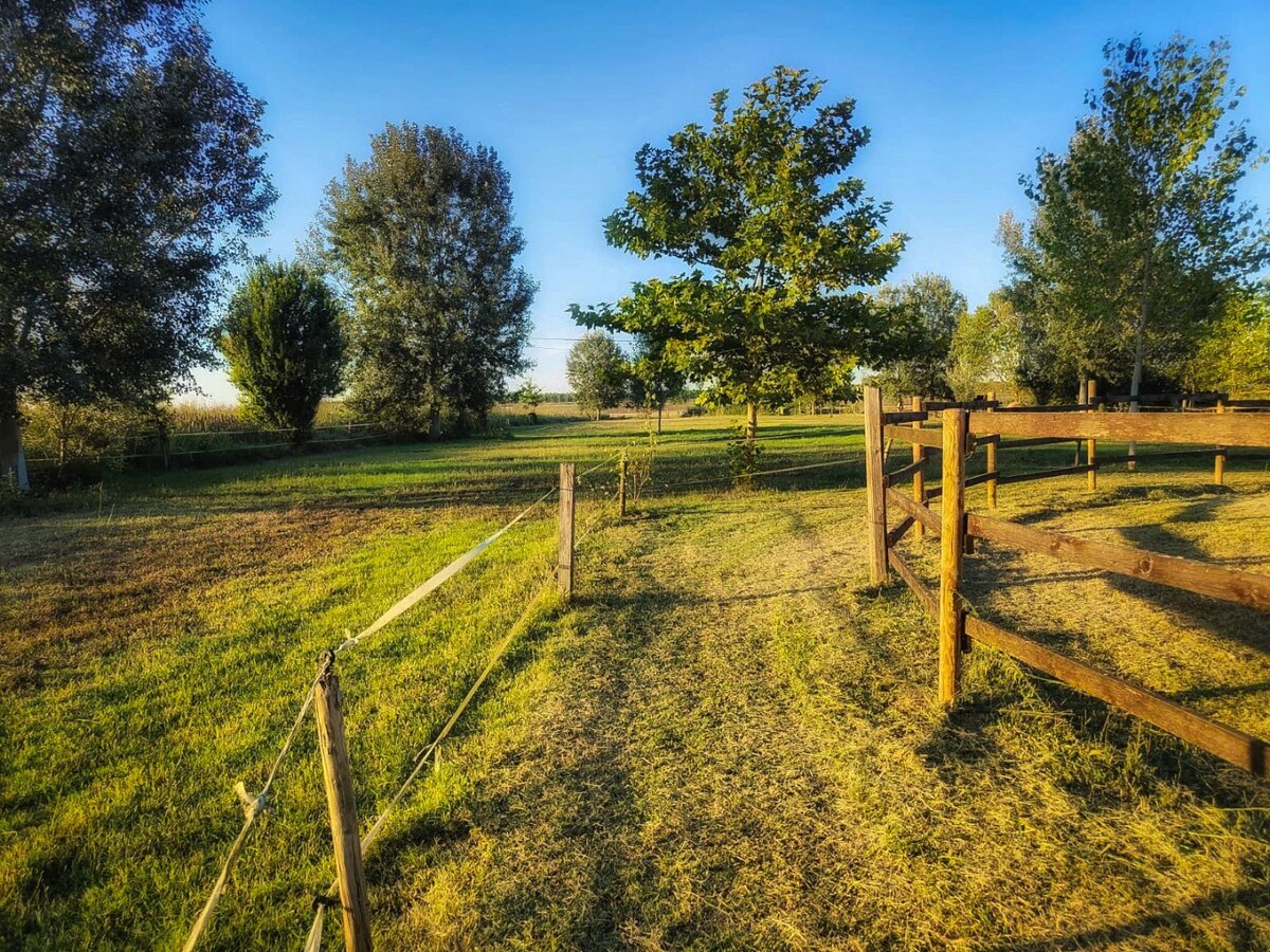 Landelijke hoeve met paardenfaciliteiten op ca. 1,3ha te Riva del Po (Noord-Italië) 