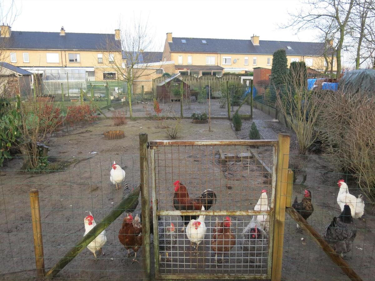 Verrassend ruime woning met 3 slaapkamers 