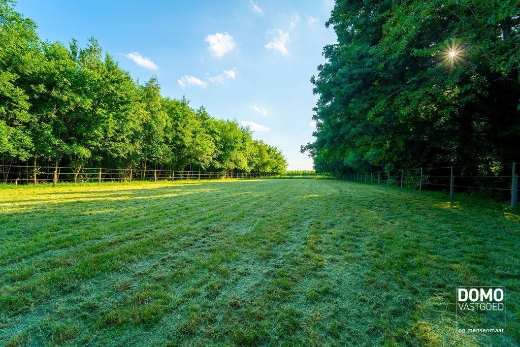 Ruime villa met paardenaccommodatie en wedstrijdstal gelegen te Herk-de-Stad - EPC-label: B - Bewoonbare vloeroppervlakte: 296m² 