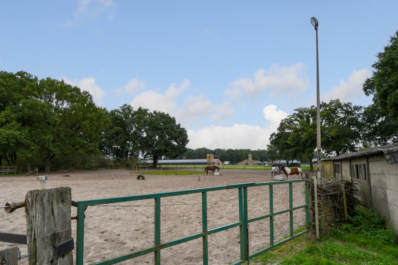 Vrijstaand woonhuis met inpandige garage, stal met 2 paardenboxen, vrijstaande inloopstal en verlichte zandpaddock met longeercirkel op een perceel van ruim 18.500 m2. Ideaal voor paardenliefhebbers. 