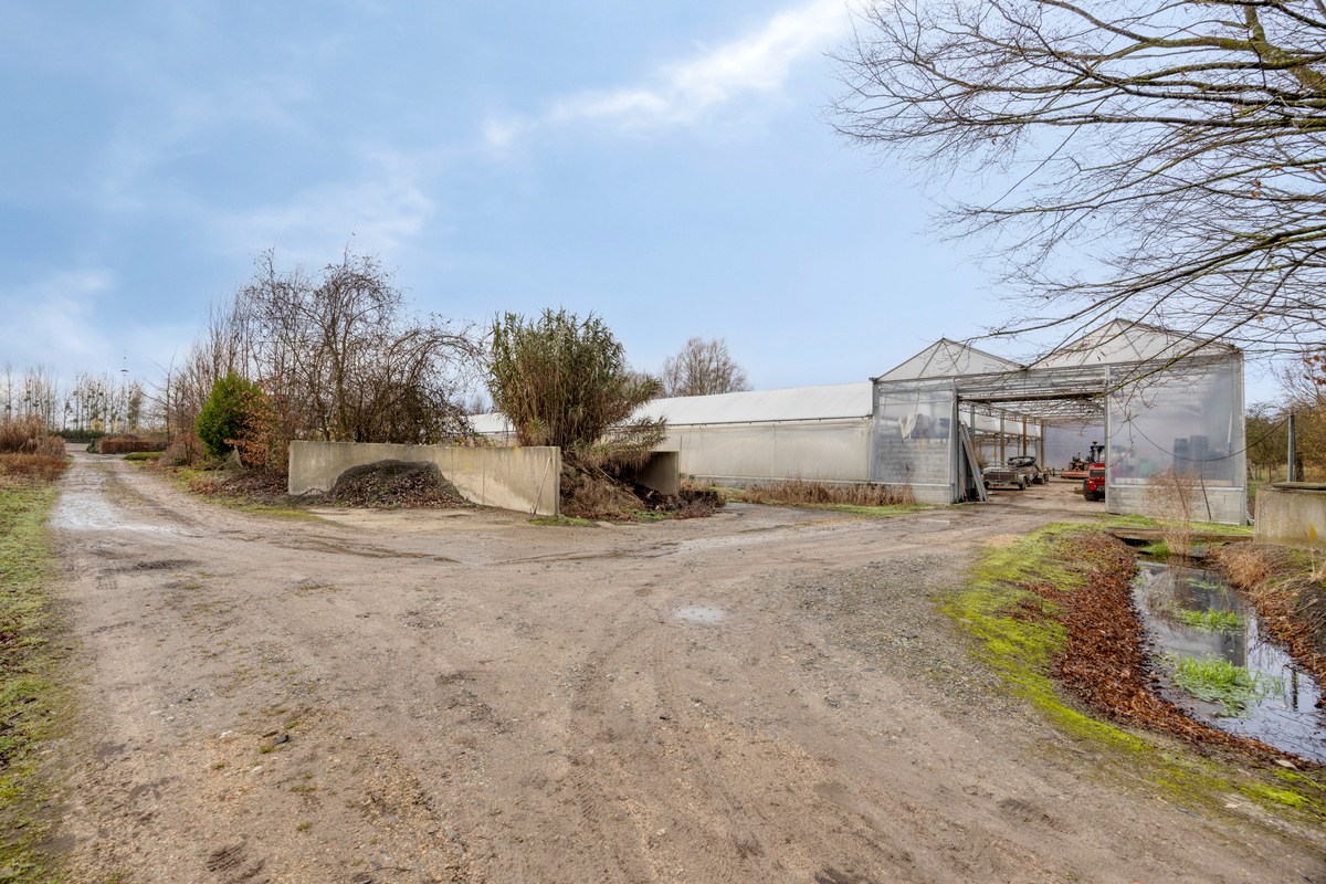 Tuinbouwcentrum met ruime woning op een perceel van 4,26 hectare 