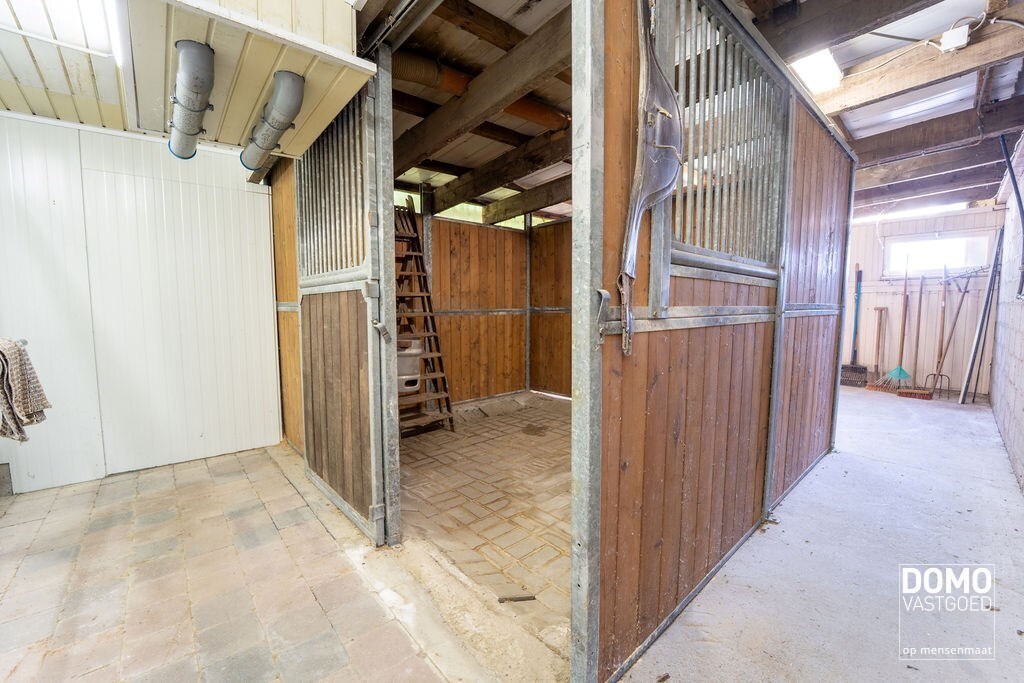 Ruime villa met paardenaccommodatie en wedstrijdstal gelegen te Herk-de-Stad - EPC-label: B - Bewoonbare vloeroppervlakte: 296m² 