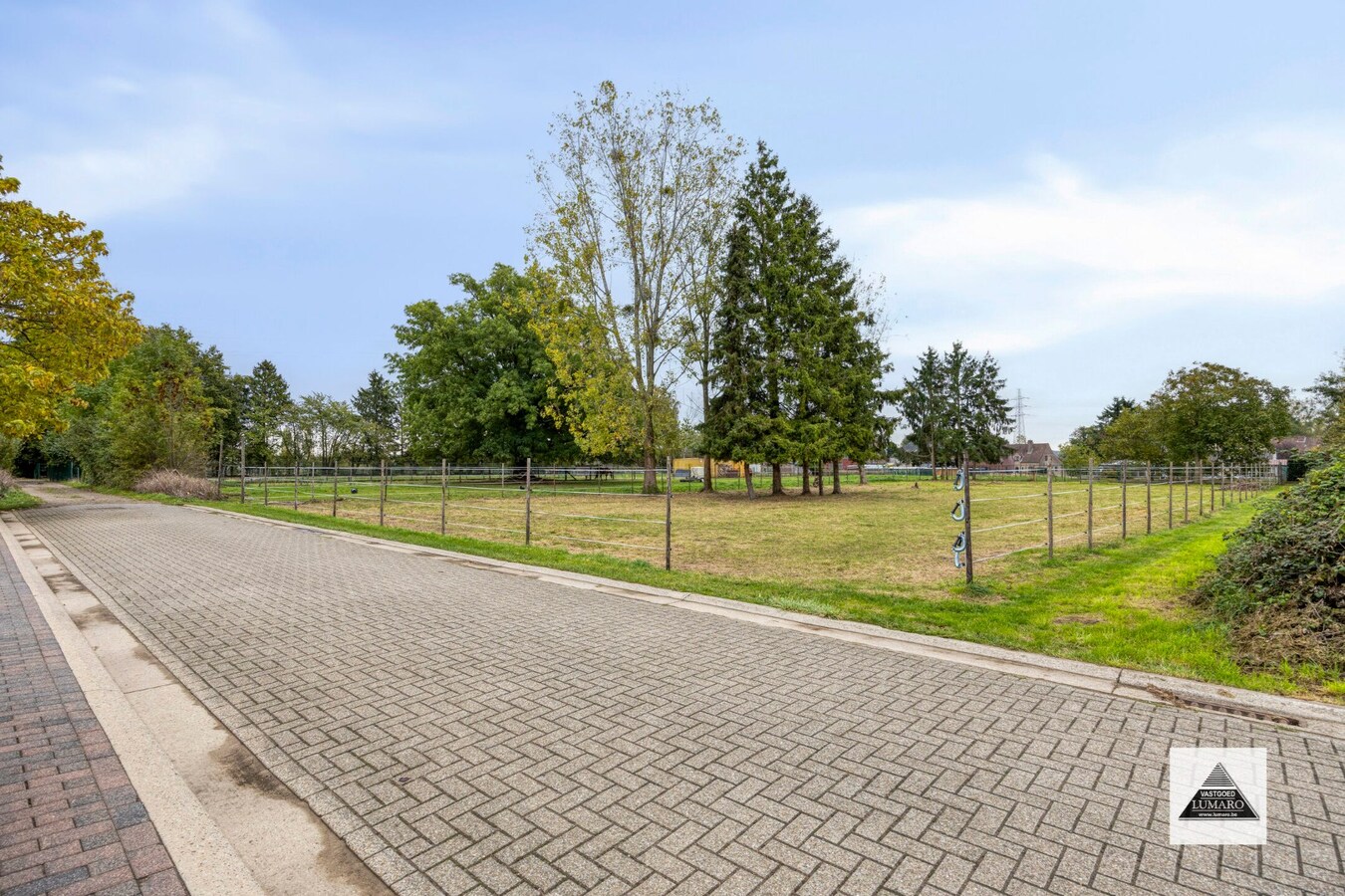 Te renoveren langgevel-hoeve op 3.536 m² in Maasdorp Boorsem 