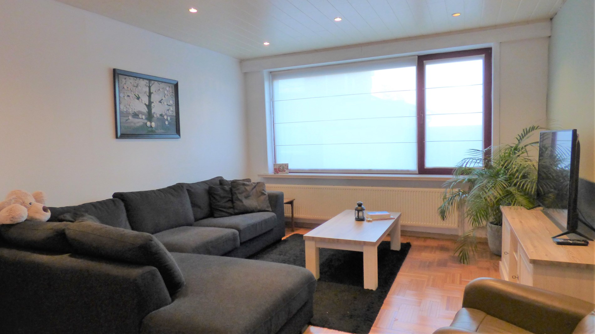 Up-to-date en bijzonder ruime gezinswoning met garage te Zwevegem 