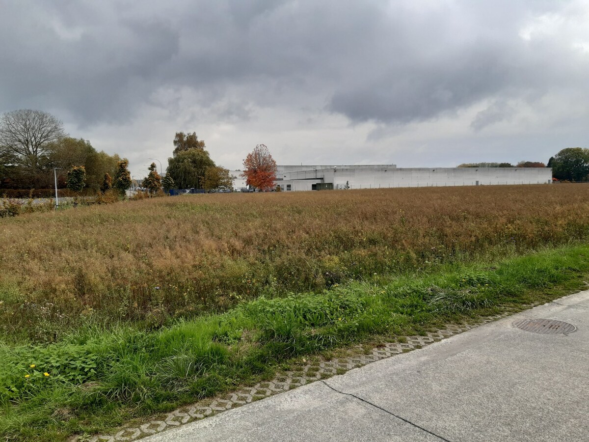 Ruime gezinswoning met 3 slaapkamers 