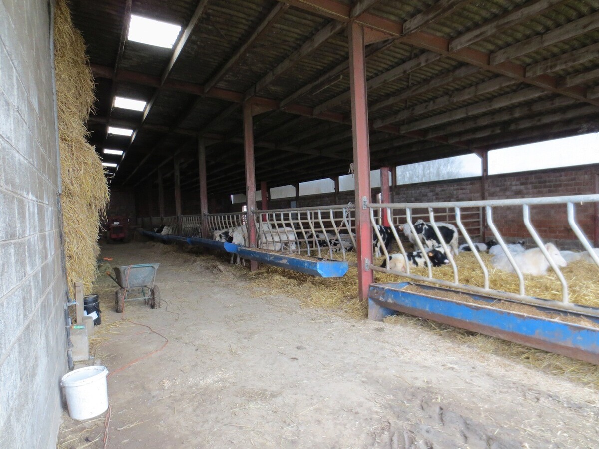 Property sold in Bogaarden