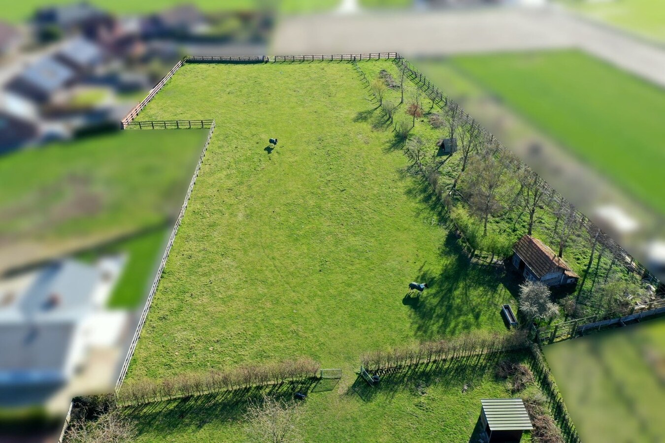 Unieke hoeve met woonst, 3 appartementen en paardenstallen op een ruim perceel van ca 1,2ha te Dilsen-Stokkem 