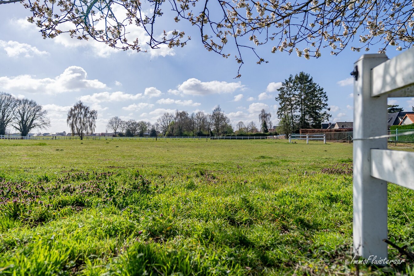 Ruime woning met paardenstallen op ca. 85 are te Kinrooi 