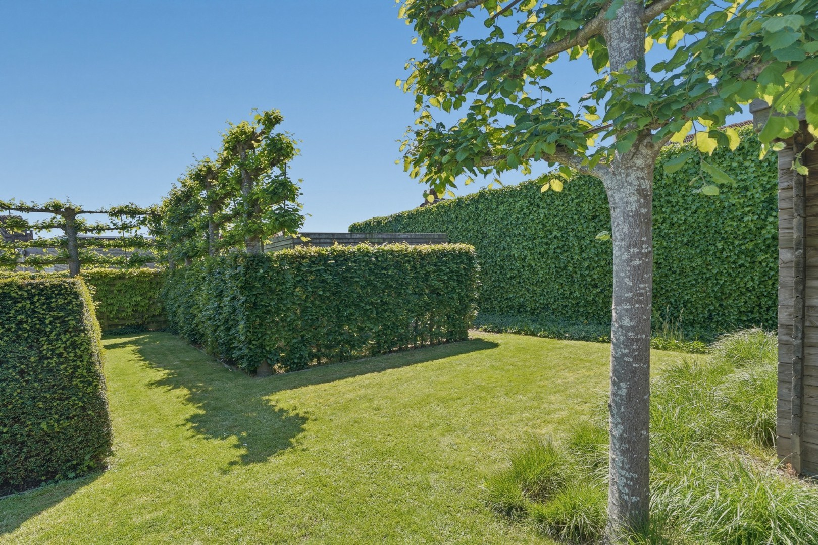 Alleenstaande woning met zonnige tuin op 980 m² 