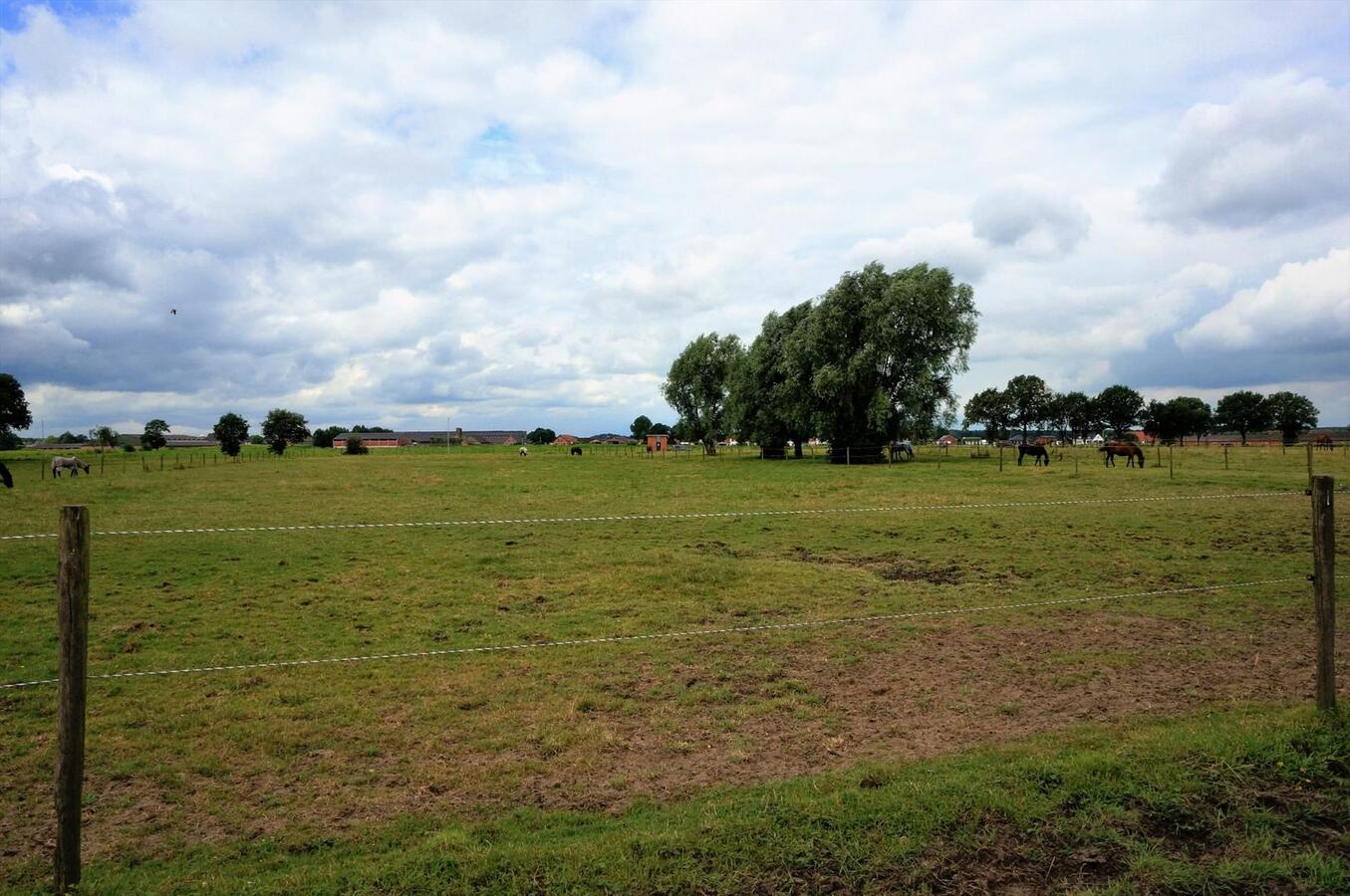 Ferme vendu À Merksplas
