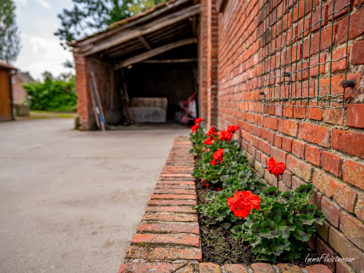 Characteristic long farmhouse with barn on approximately 4.6 hectares in Rijkevorsel. 