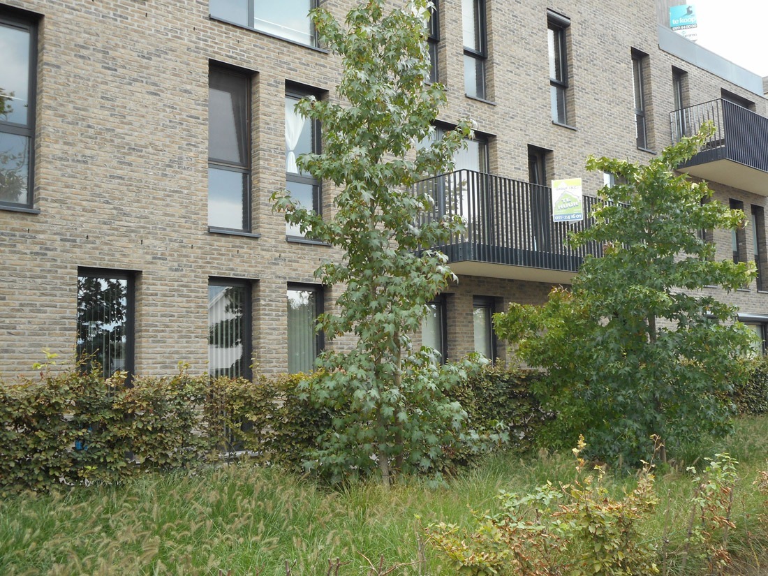 Verhuurd appartement - Hasselt