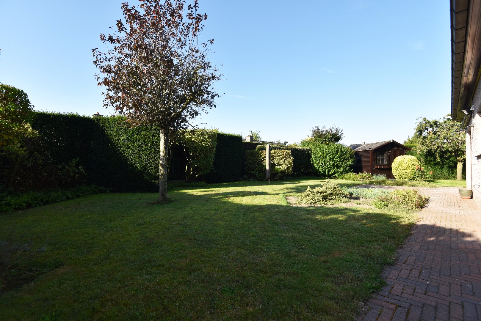 Open bebouwing met 3 slpks en tuin te Adegem 