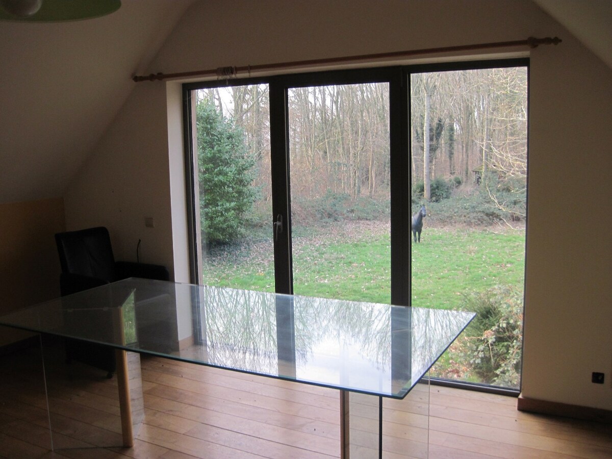 Ruim, landelijk wonen in t groene Melsen. 