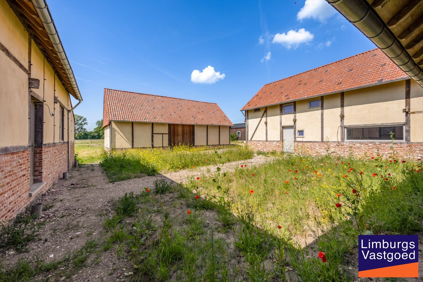 UNIEKE VIERKANTSHOEVE met paardenstallen op 7,34 hectare met vergunning voor zwembad en poolhouse 