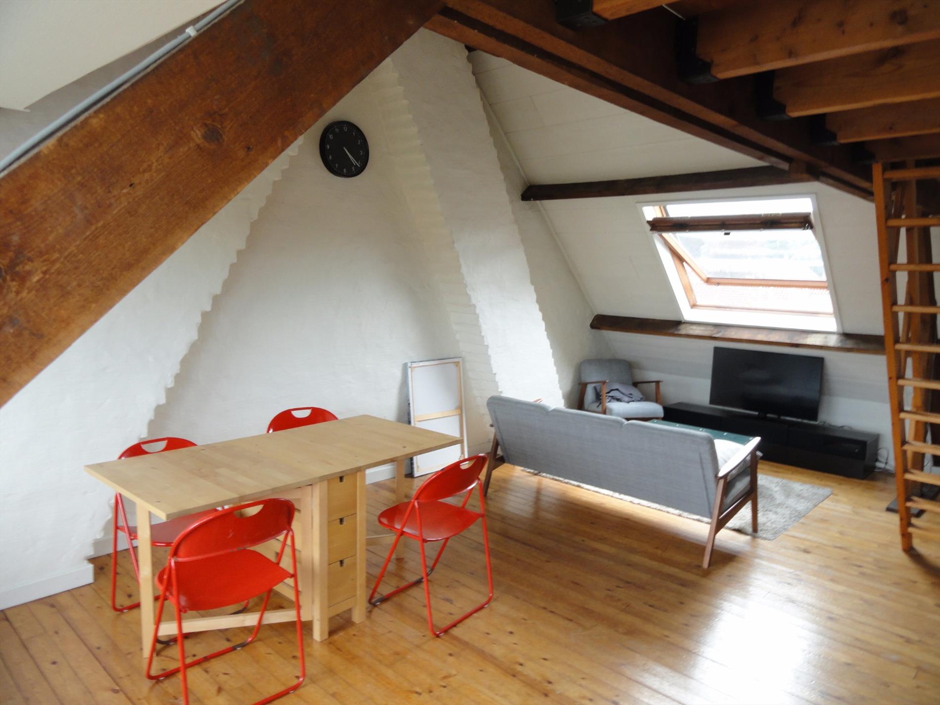 Dakappartement/studio vlakbij 't Zand 