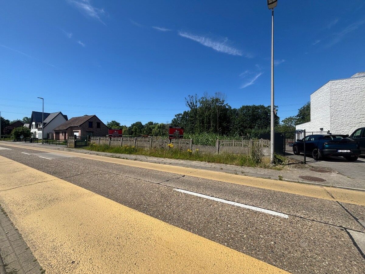 Te koop grond - Tessenderlo-Ham