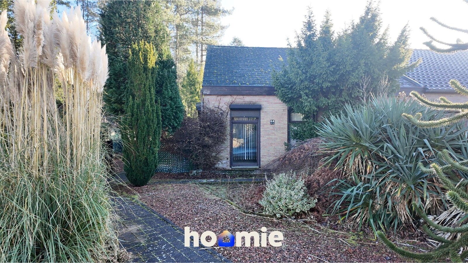 Woning met optie - reservatie in Maasmechelen