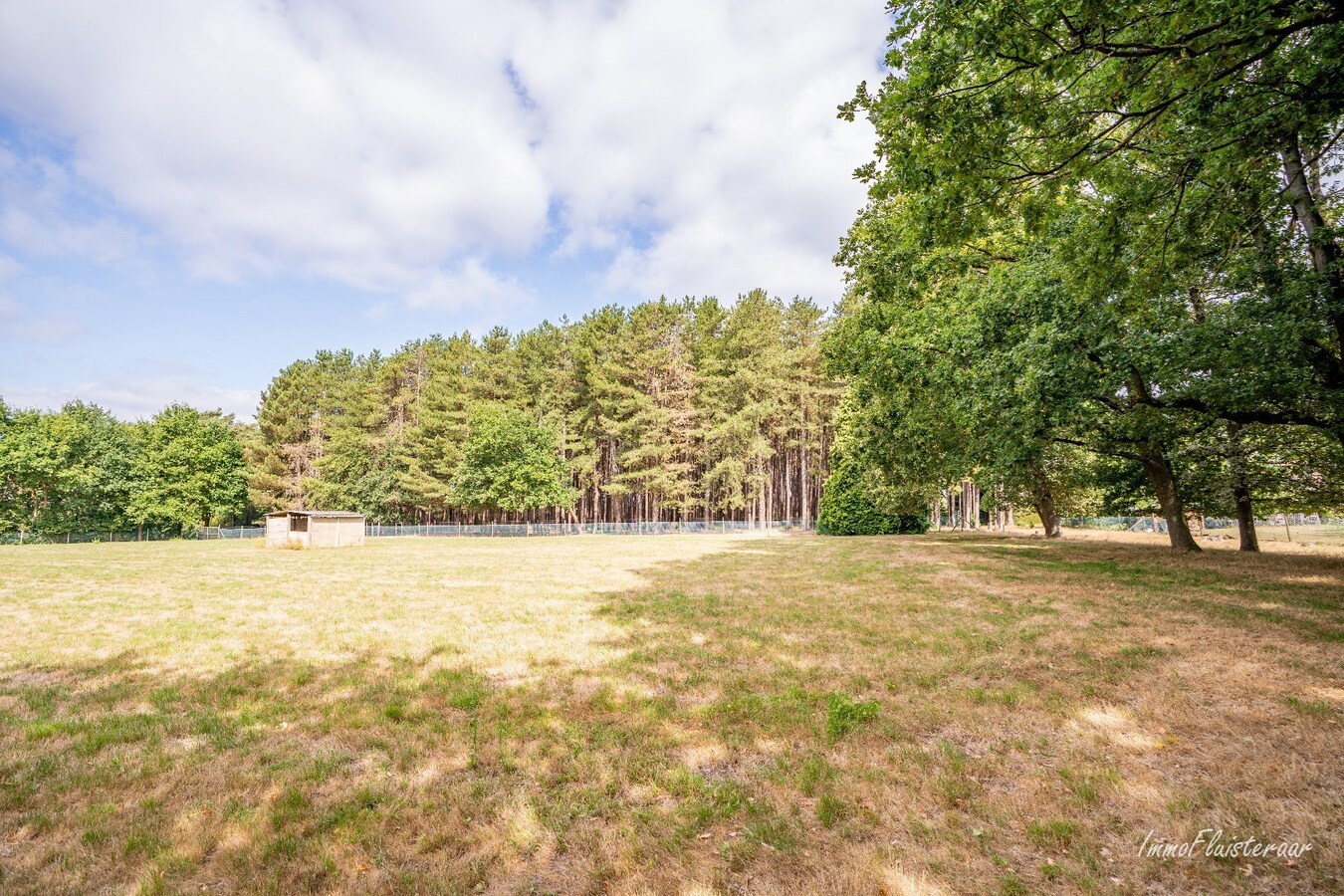 Unieke eigendom voor paardenliefhebbers met overdekt zwembad op ca. 1,8ha te Koersel (Beringen) 