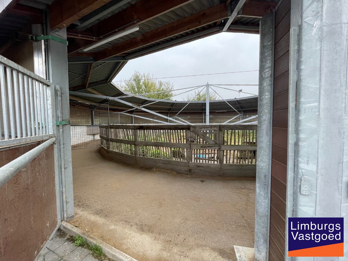 Landelijk gebouwencomplex voor paardenhouderij, op ong. 3ha 50a met stallen, weides/paddock, binnen-en buitenpiste, en woning. 