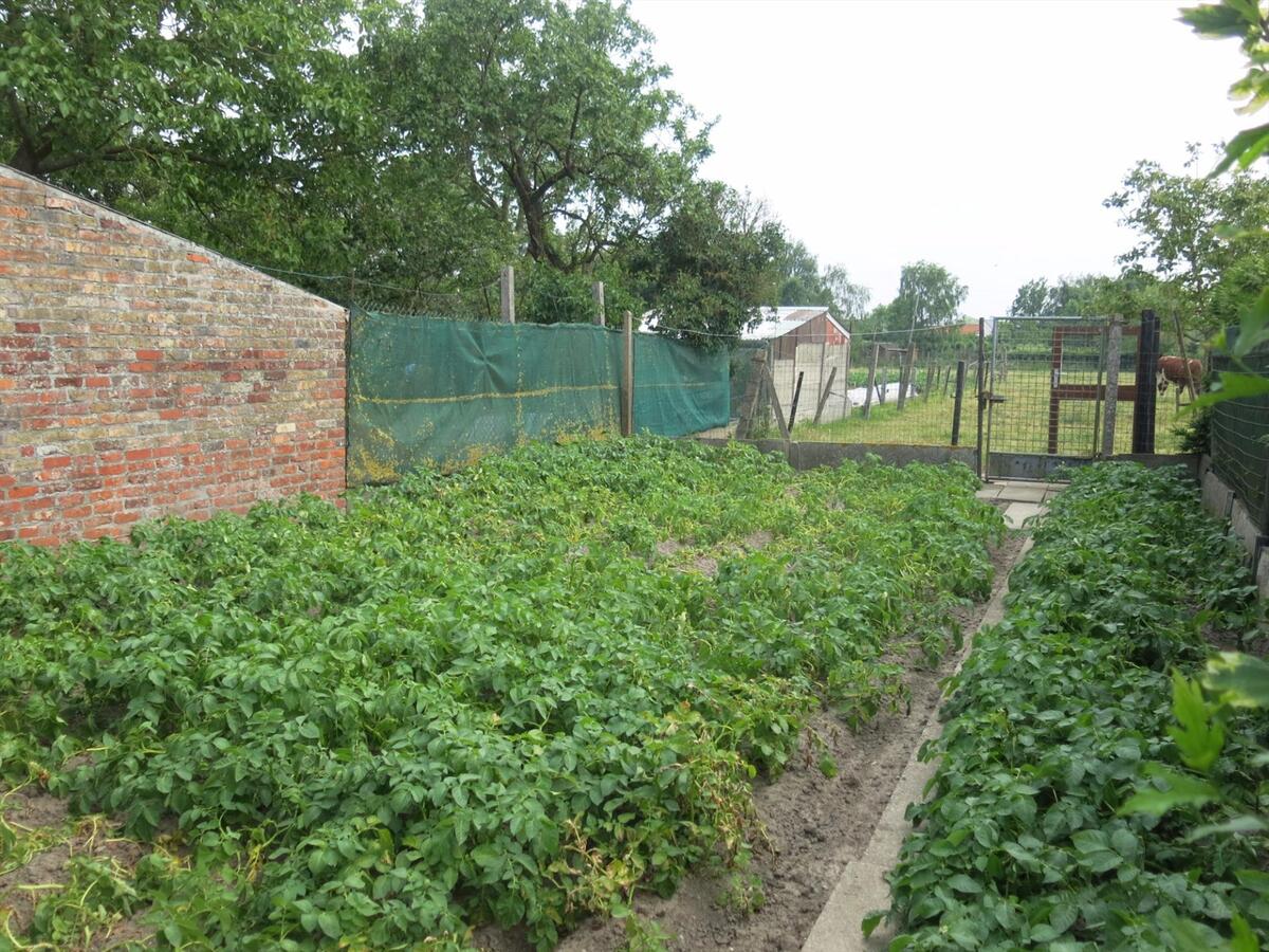 Knusse woning met garage 