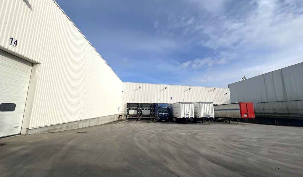 Logistieke loodsen te huur in Hoogveld in Dendermonde