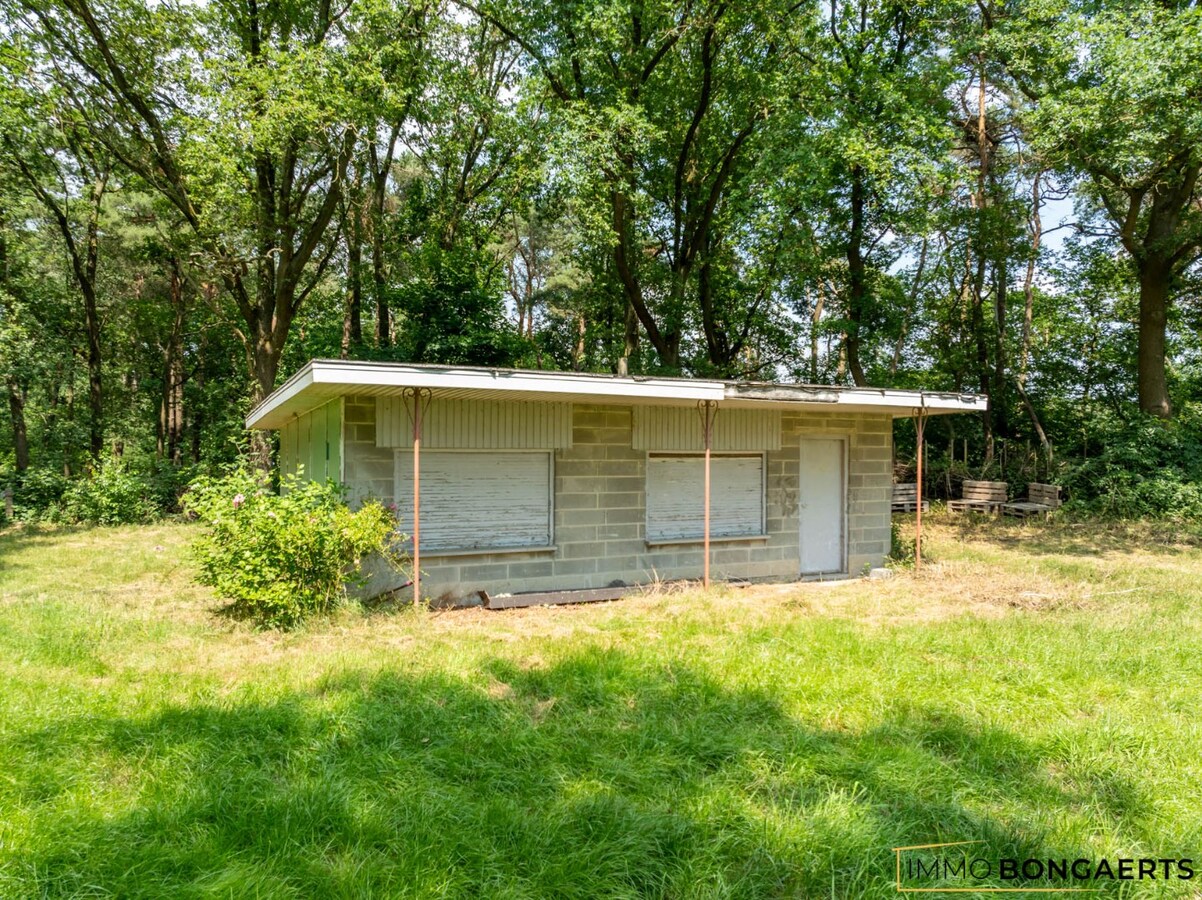 Natuur- en bosgrond met vakantiewoning 