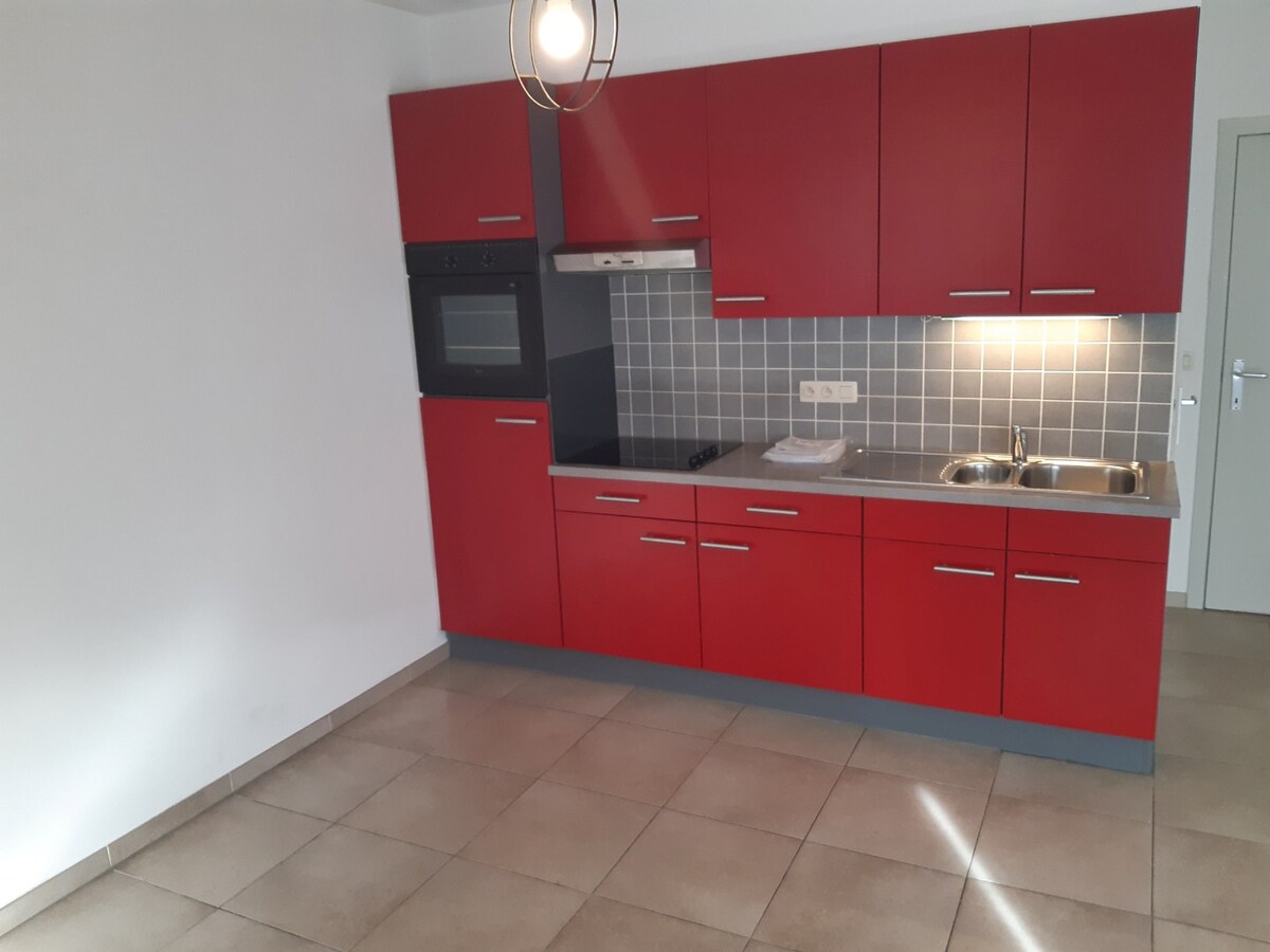 Lichtrijk 2 slpk-appartement te Oudenaarde. 