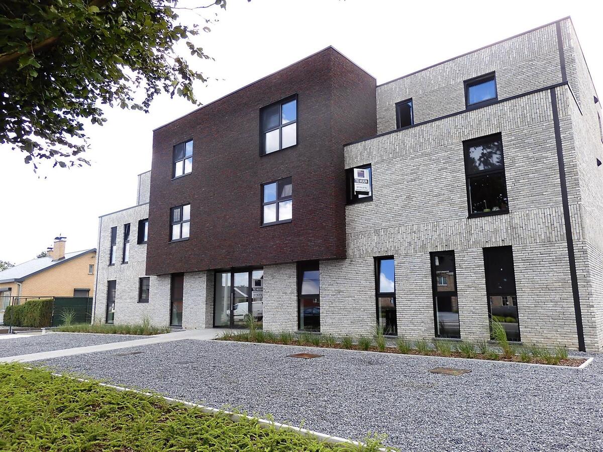 Benedenwoning verhuurd in Hasselt