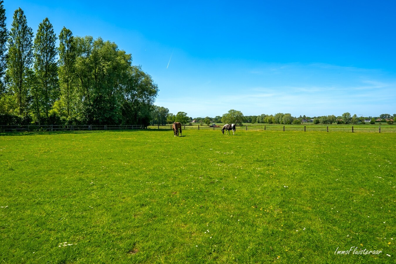 Prachtige villa met zwembad en luxueus poolhouse met optioneel bij te kopen weiland van ca. 21.856 m2 te Hove 