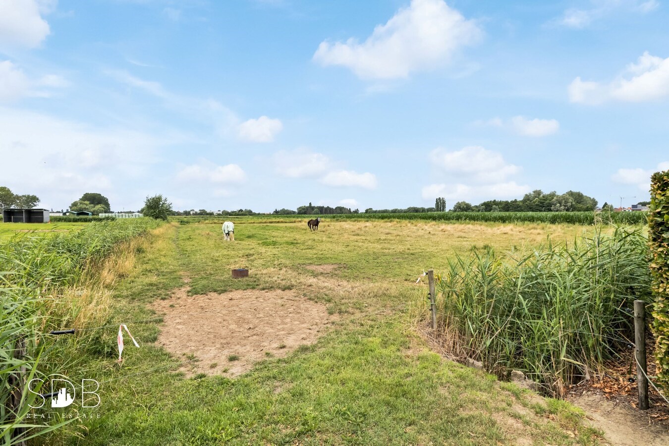 Hedendaagse woning inclusief paardenaccommodatie en graslanden op 4,22ha 