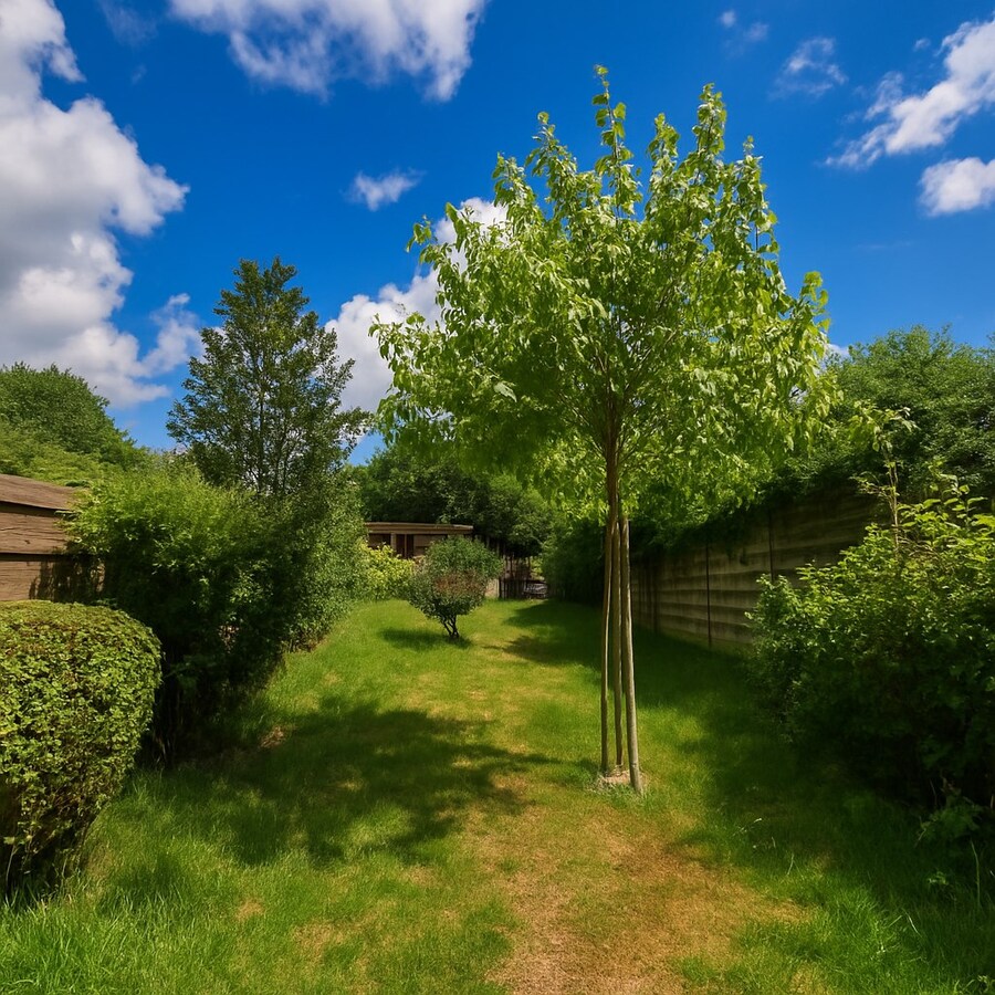 Te koop: charmante en energiezuinige woning met 4 slaapkamers én diepe tuin in het hart van Sint-Niklaas 