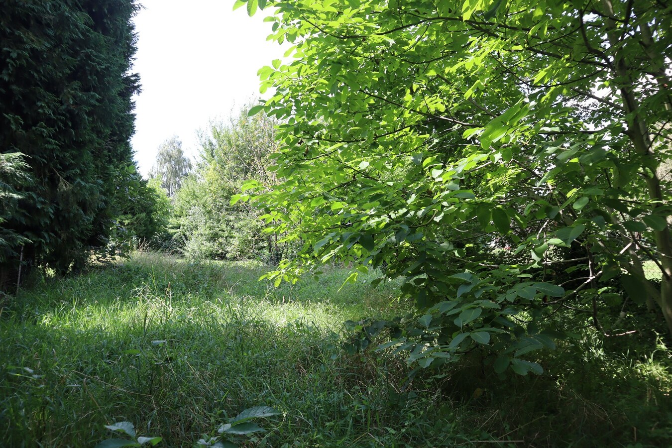 Perceel grond van 07 are 07ca 