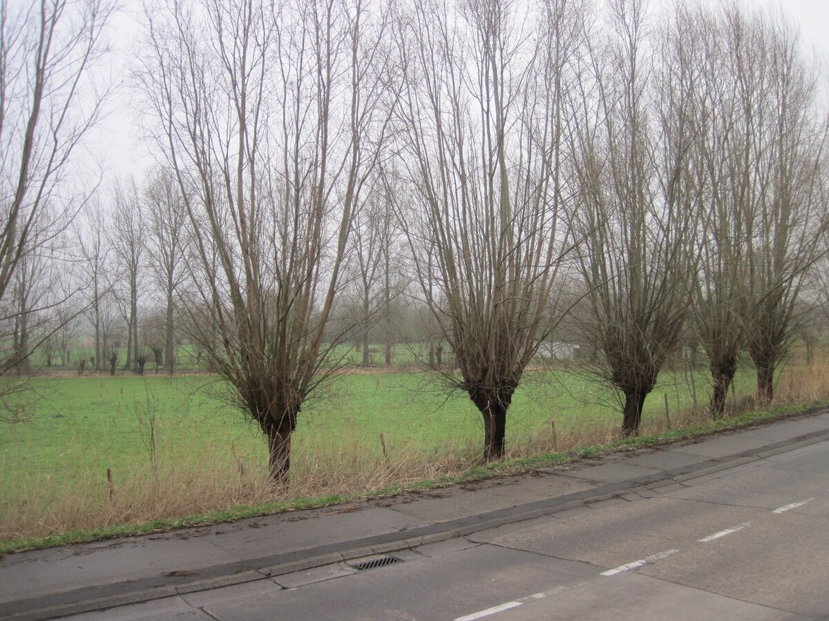 Aangenaam wonen in Semmerzake 