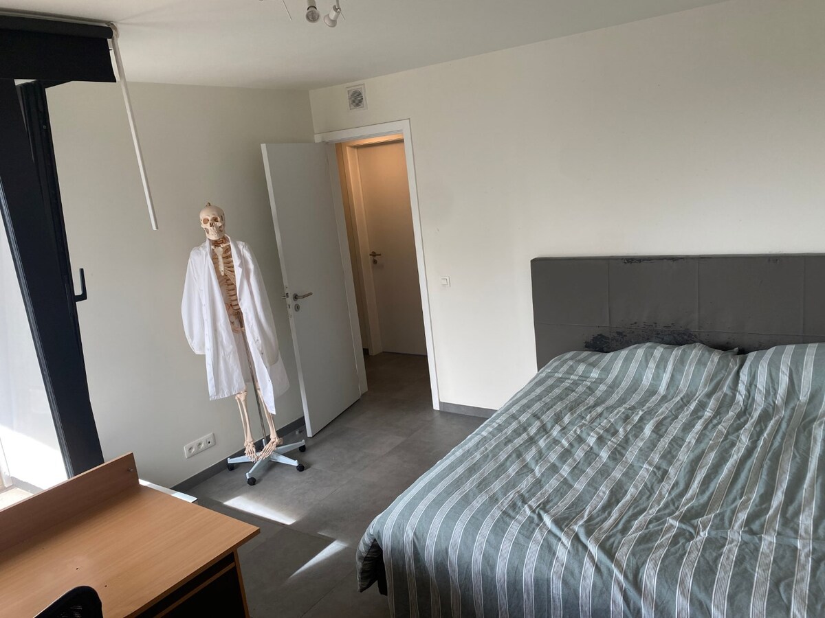 Nieuwbouwwoning nabij de Sterre - met terras en tuin ! 