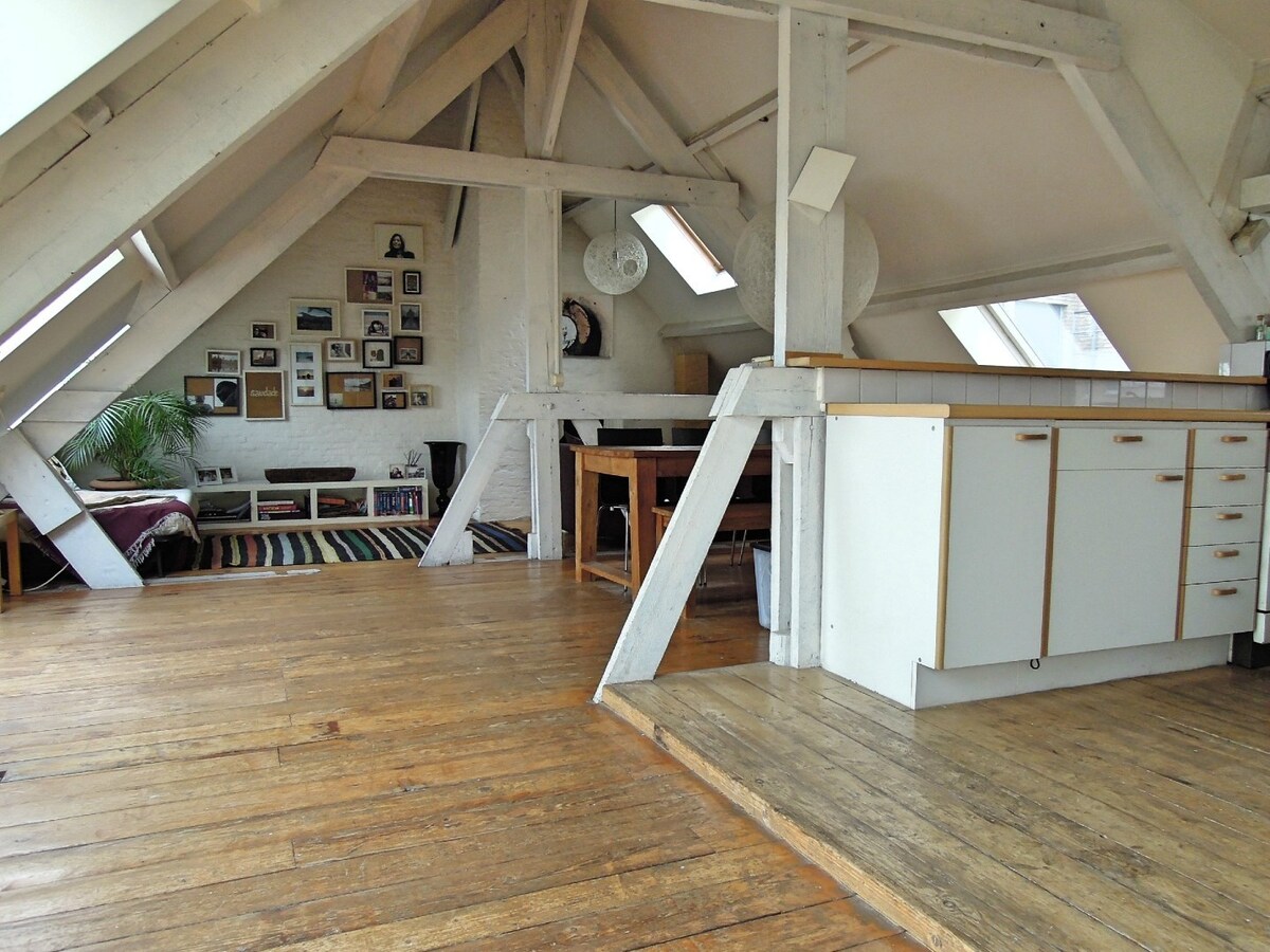 Stijlvol en licht dakappartement van 125 m² in hartje Antwerpen 