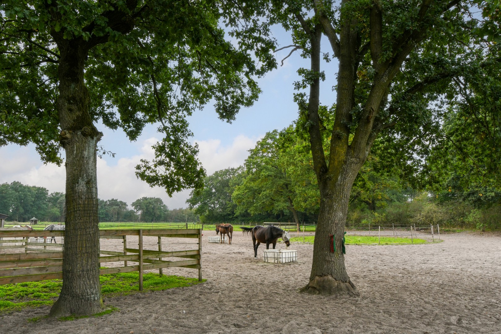 Vrijstaand woonhuis met inpandige garage, stal met 2 paardenboxen, vrijstaande inloopstal en verlichte zandpaddock met longeercirkel op een perceel van ruim 18.500 m2. Ideaal voor paardenliefhebbers. 